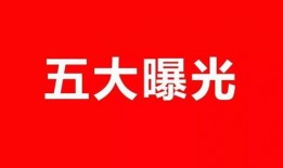 11月活动最新爆料新闻,精彩纷呈，不容错过！